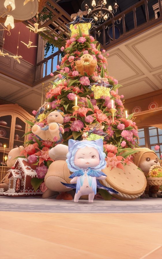 ゆずちゃんの島にお邪魔しま～す😍✨ ずっと見たかったクリスマス飾り