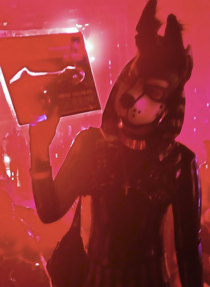 Ming Puppy BKK 🐾 tweet media