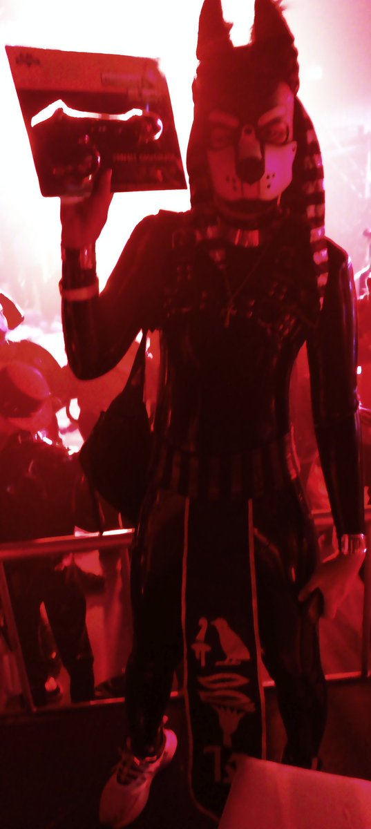 Ming Puppy BKK 🐾 tweet media