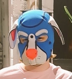 PupStarSugar's tweet photo. Damn its been awile but I'm alive! Sorry for not posting like at all but I'm gonna try to get back into it. So here's an old shitty photo of me in the meantime 😛

But I'm going to MFF! So hopefully I'll get some decent photos to post 😅

#pup #furry #midwestfurfest #puppyboy https://t.co/NA8iQvH3AZ