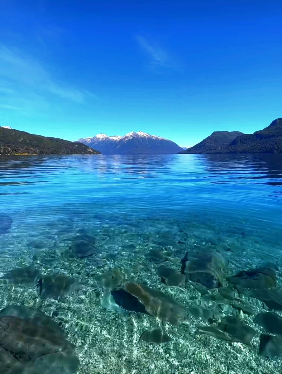 lfsur's tweet photo. ¡Buen día! ¡Un paraíso de aguas cristalinas, paz y serenidad!😍
Villa Traful. Patagonia 🇦🇷🧉🍀 https://t.co/RafaeBMhD4