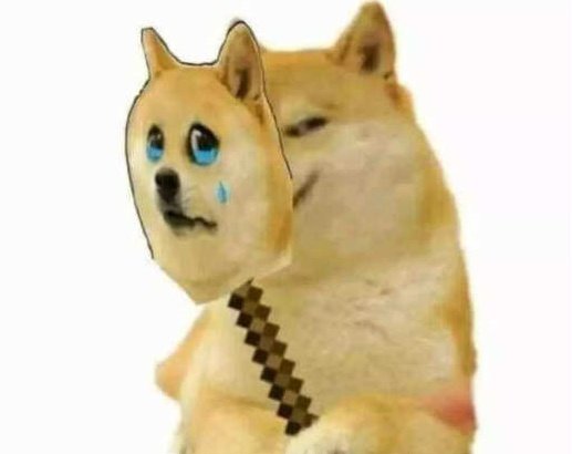 team_cheems's tweet image. Credit goes to #Dude &amp;amp; co