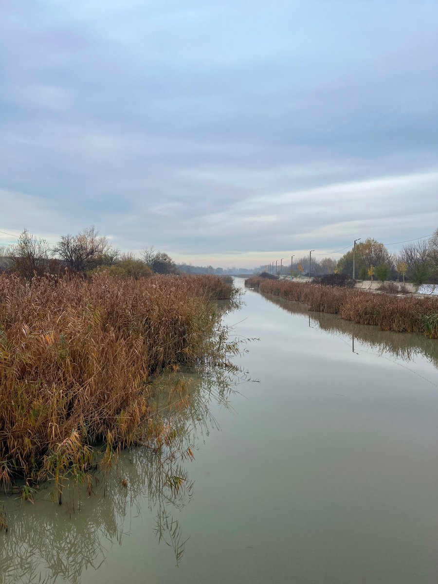 mono_grafic's tweet image. The first frosty morning of the season.