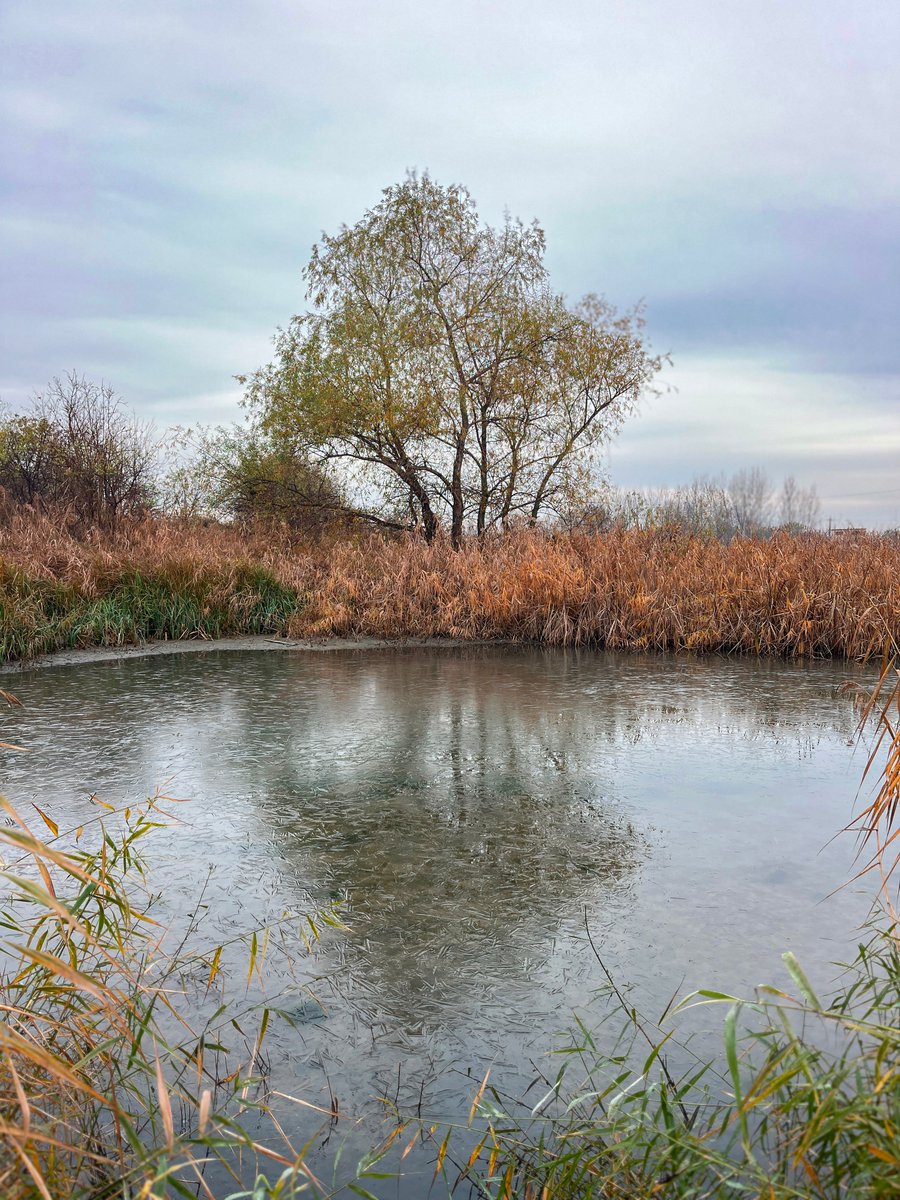 mono_grafic's tweet image. The first frosty morning of the season.