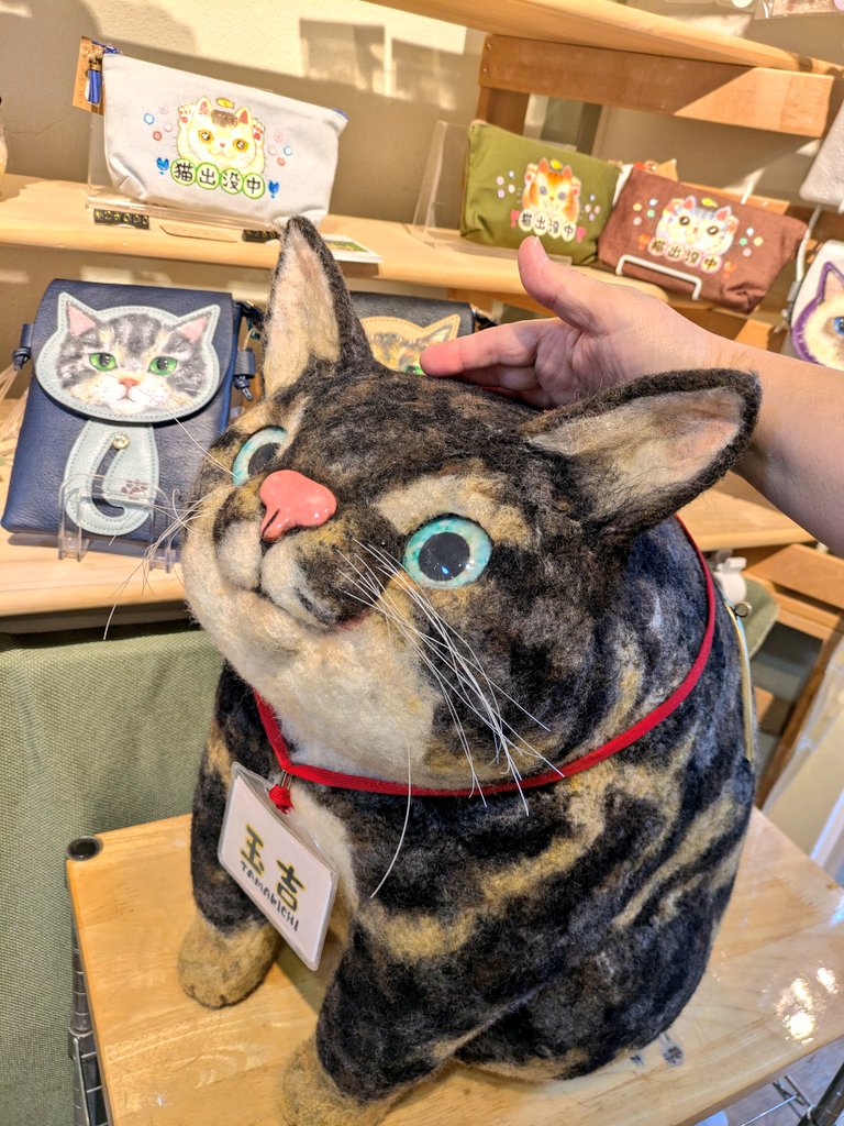 あやねこ あやねこや (@neko_buna) / Posts / X