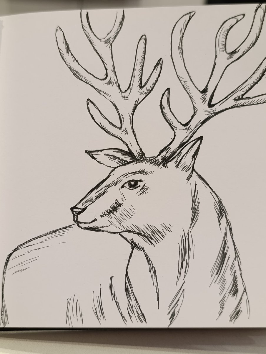 Kiingisha's tweet image. Hey guys! 🤗
Today&apos;s a quick liner sketch. My favorite theme lately is forest dwellers. 🥰

#sketchart #deer #Sketching #Forest