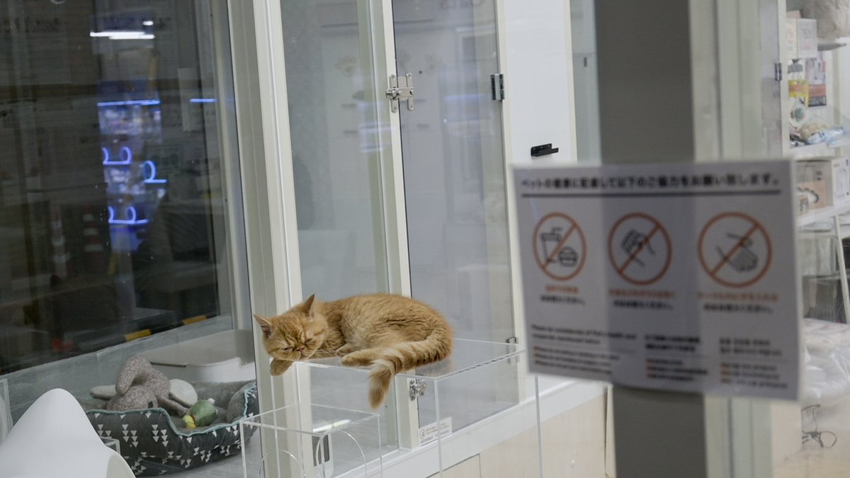 細川文昌 (@hosokawa_f) / Posts / X