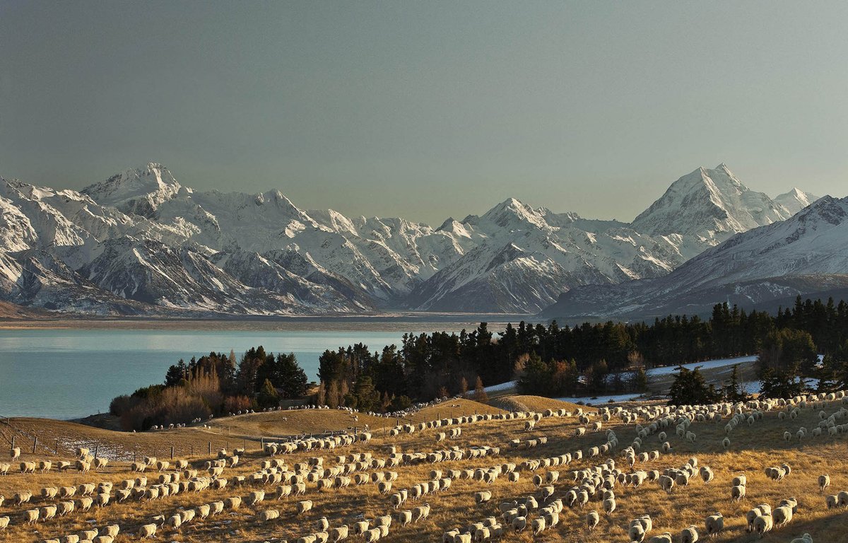 textechno's tweet image. Mondiano and Schneider Group join forces...

Read more - innovationintextiles.com/mondiano-and-s…
#WoolIndustry #SustainableTextiles #EMEATrading #InnovativePartnership #WoolProcessing #TextileInnovation #DiverseSupplyChain #ReliabilityInTrade #MondianoSchneider #WoolMarket