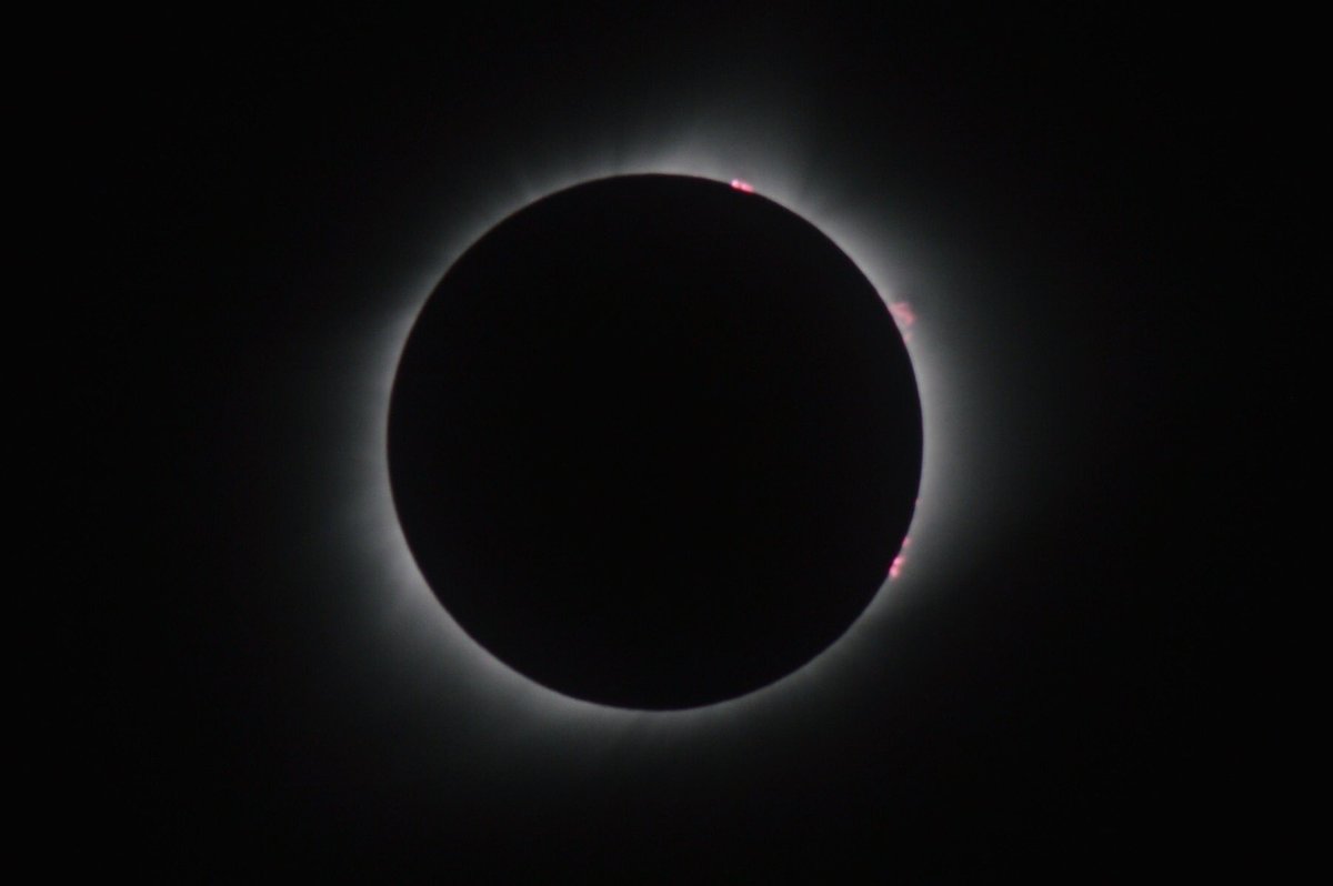 jkepros's tweet image. 2017 Total Eclipse taken from Nebraska (in my aunt and uncle&apos;s backyard).
The red things are solar flares.