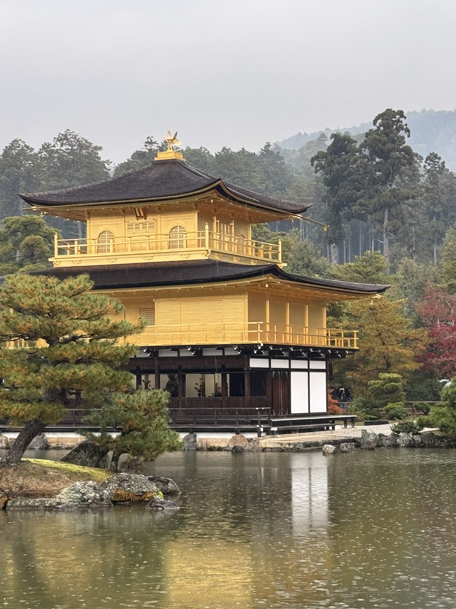 MimeOsen's tweet image. Un autre rêve de cinéphile accompli : voir le Pavillon d’Or à Kyoto de mes propres yeux 💛
