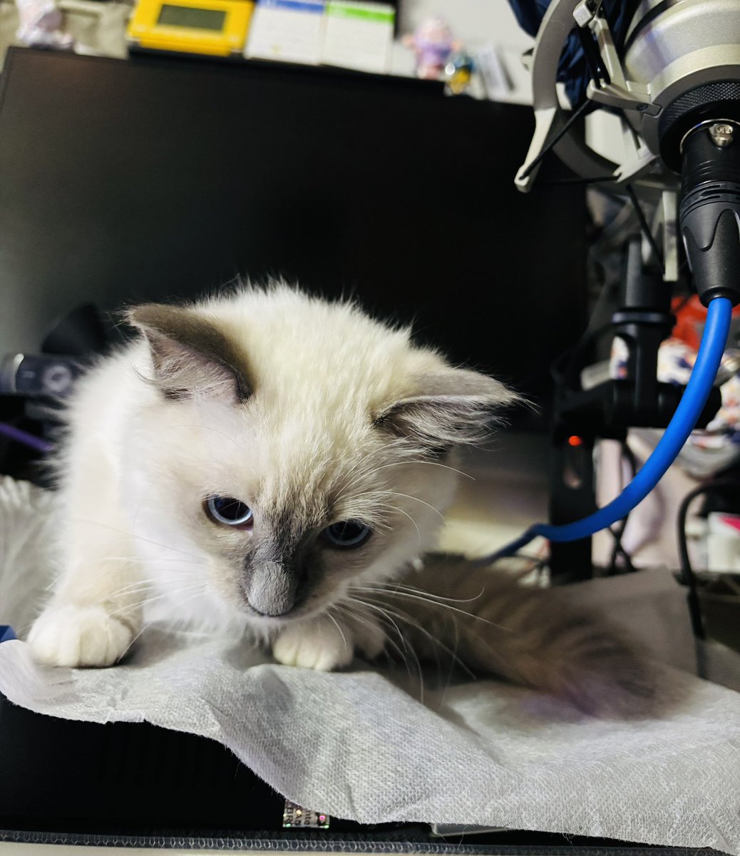 みっこ (@mikko2929) / Posts / X