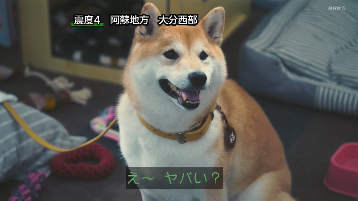 ろっきい (@hirockyz) / Posts / X