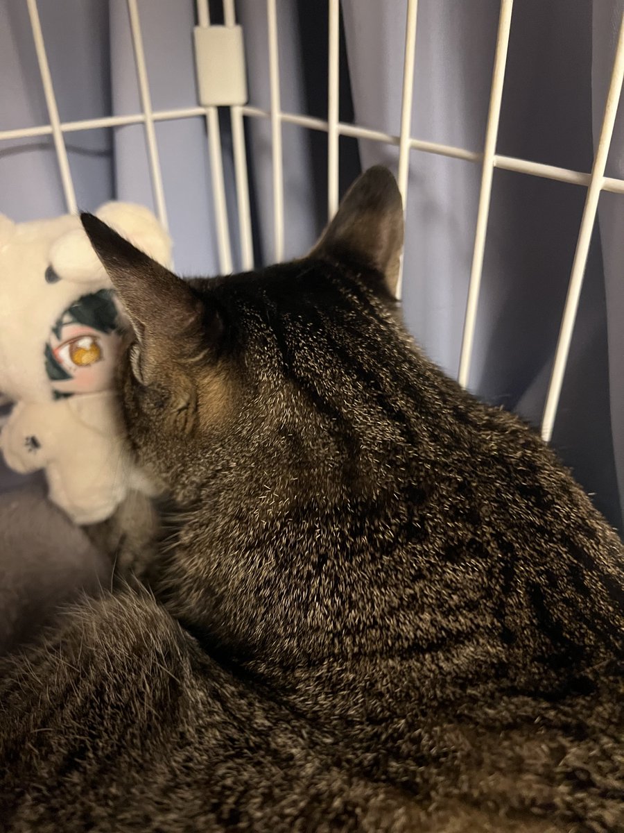 めっちゃ嗅いでる