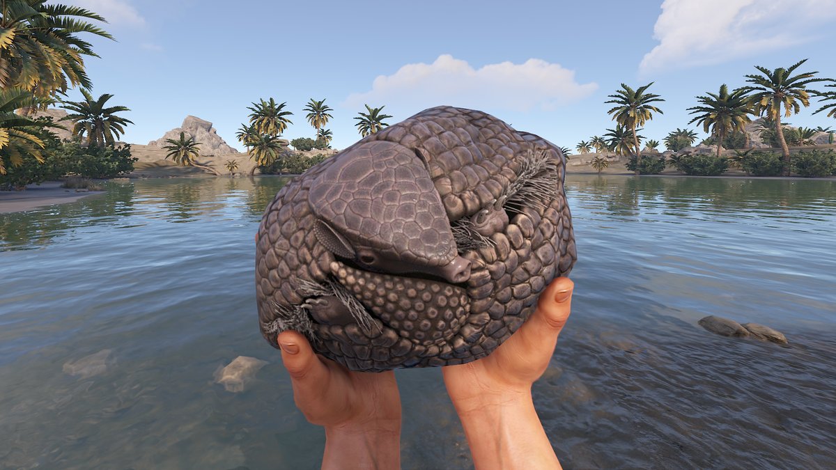 pretxyt's tweet image. Hi! Why do you think this cute armadillo didn’t make it into the game? What are your theories, and would you like to see it in your gameplay?

#Rust #RustGame #PlayRust #RustCommunity #RustMemes @playrust @FcpnchStds