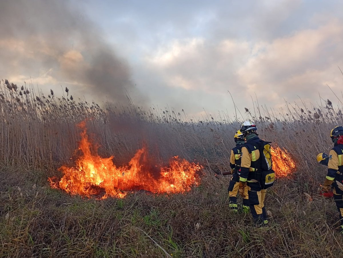 AgriculturaGOIB's tweet image. Avui s’ha realitzat una Crema Prescrita a S’Albufera de Mallorca, una crema controlada per gestionar un sòl sostenible, reduir combustible i preservar la salut de l’ecosistema. 

Mitjans d&apos;@agriculturagoib que han participat: 20 bombers forestals (3 tècnics), 2 autobombes i 7 AMA