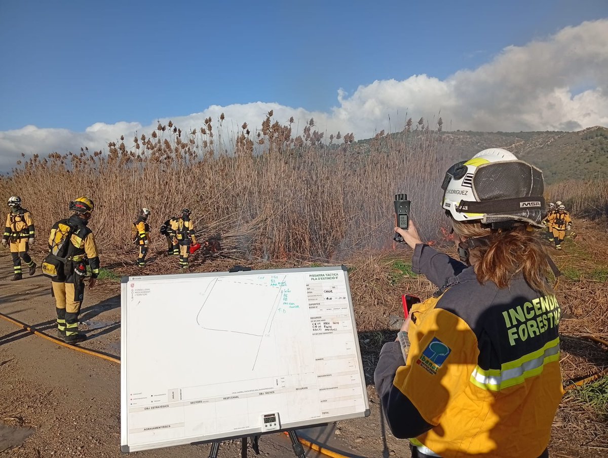 AgriculturaGOIB's tweet image. Avui s’ha realitzat una Crema Prescrita a S’Albufera de Mallorca, una crema controlada per gestionar un sòl sostenible, reduir combustible i preservar la salut de l’ecosistema. 

Mitjans d&apos;@agriculturagoib que han participat: 20 bombers forestals (3 tècnics), 2 autobombes i 7 AMA