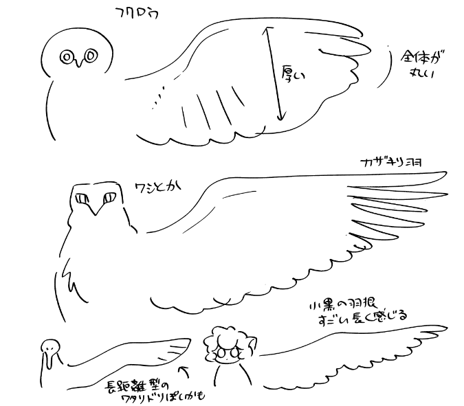 絶対にフクロウの翼じゃない件…
どっちかつとワシとかに近いのでは