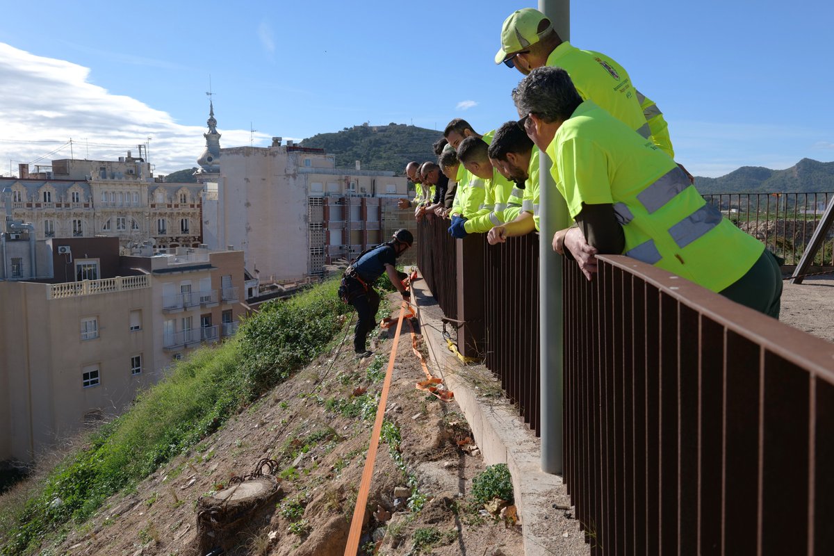Jardines de Cartagena tweet media