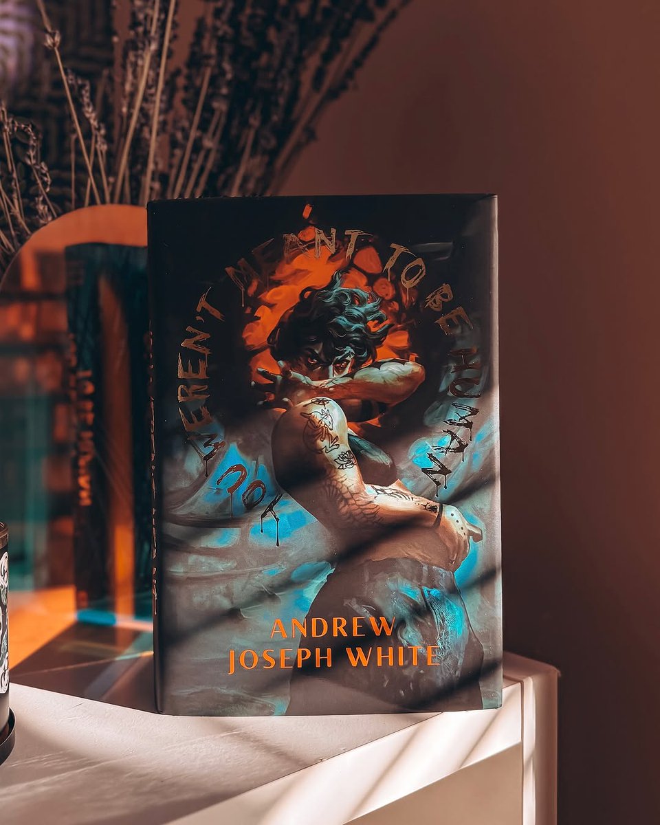 Evernight 🌙 tweet media