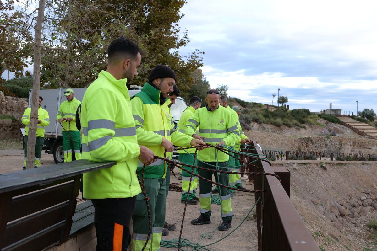 Jardines de Cartagena tweet media
