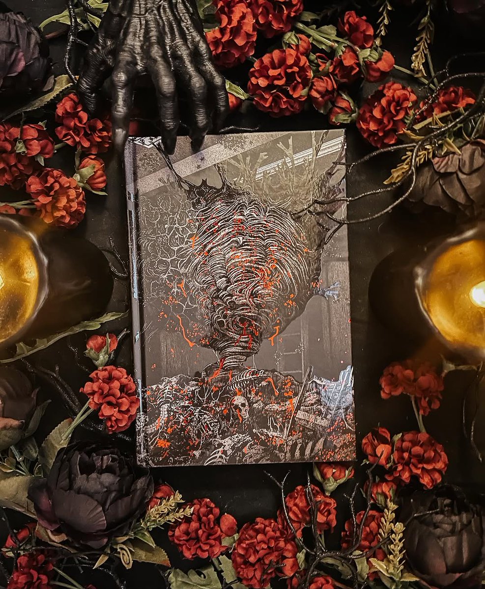 Evernight 🌙 tweet media