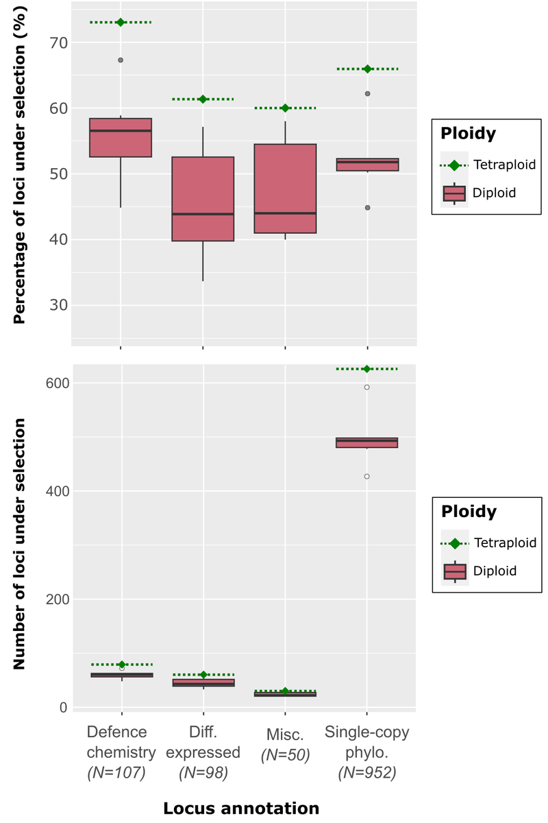 Rowan J Schley tweet media