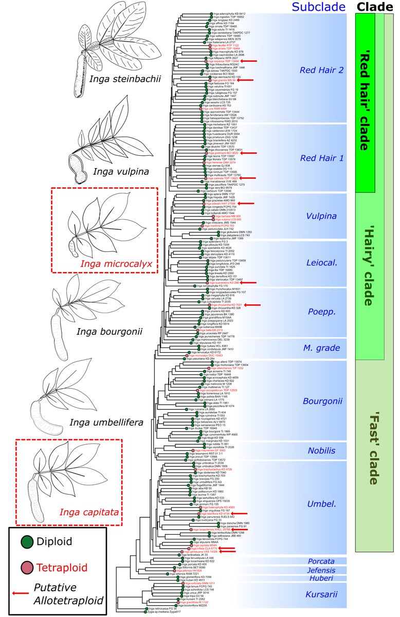 Rowan J Schley tweet media