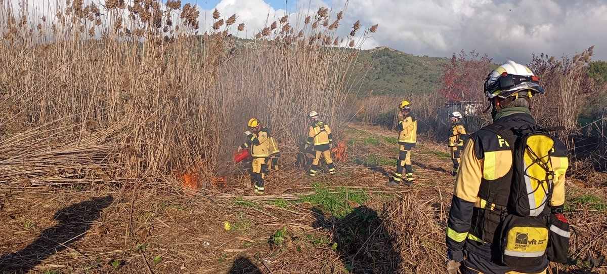 AgriculturaGOIB's tweet image. Avui s’ha realitzat una Crema Prescrita a S’Albufera de Mallorca, una crema controlada per gestionar un sòl sostenible, reduir combustible i preservar la salut de l’ecosistema. 

Mitjans d&apos;@agriculturagoib que han participat: 20 bombers forestals (3 tècnics), 2 autobombes i 7 AMA