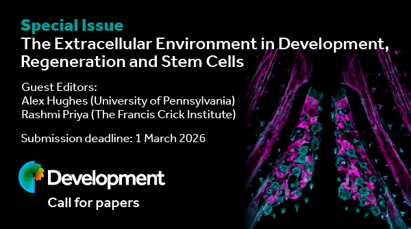 Dev_journal's tweet image. Call for papers

Submit your latest in vivo and in vitro #DevBio research to our upcoming special issue – The Extracellular Environment in Development, Regeneration and Stem Cells

Guest Editors: Alex Hughes and Rashmi Priya

Deadline: 1 March 2026

journals.biologists.com/dev/pages/extr…