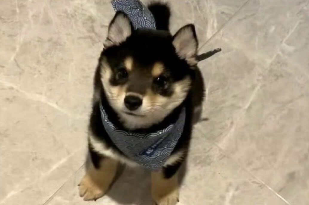 ddengchann's tweet image. 존똑