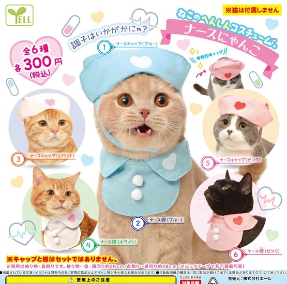 みちゃ✰ะ (@michapoyo222) / Posts / X