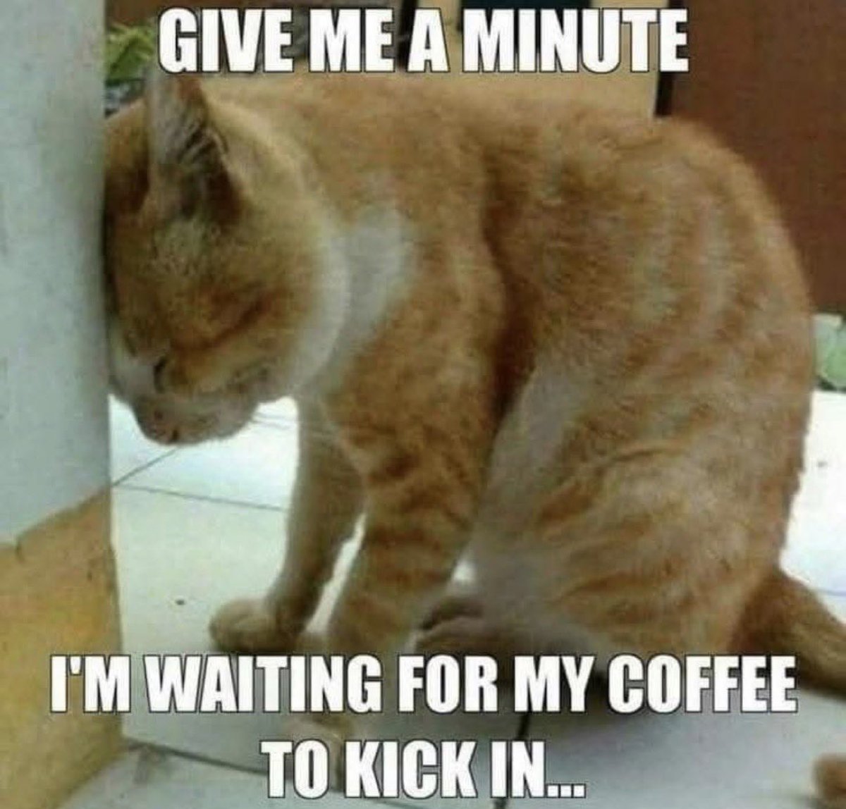 BarstoolBigCat's tweet image. 