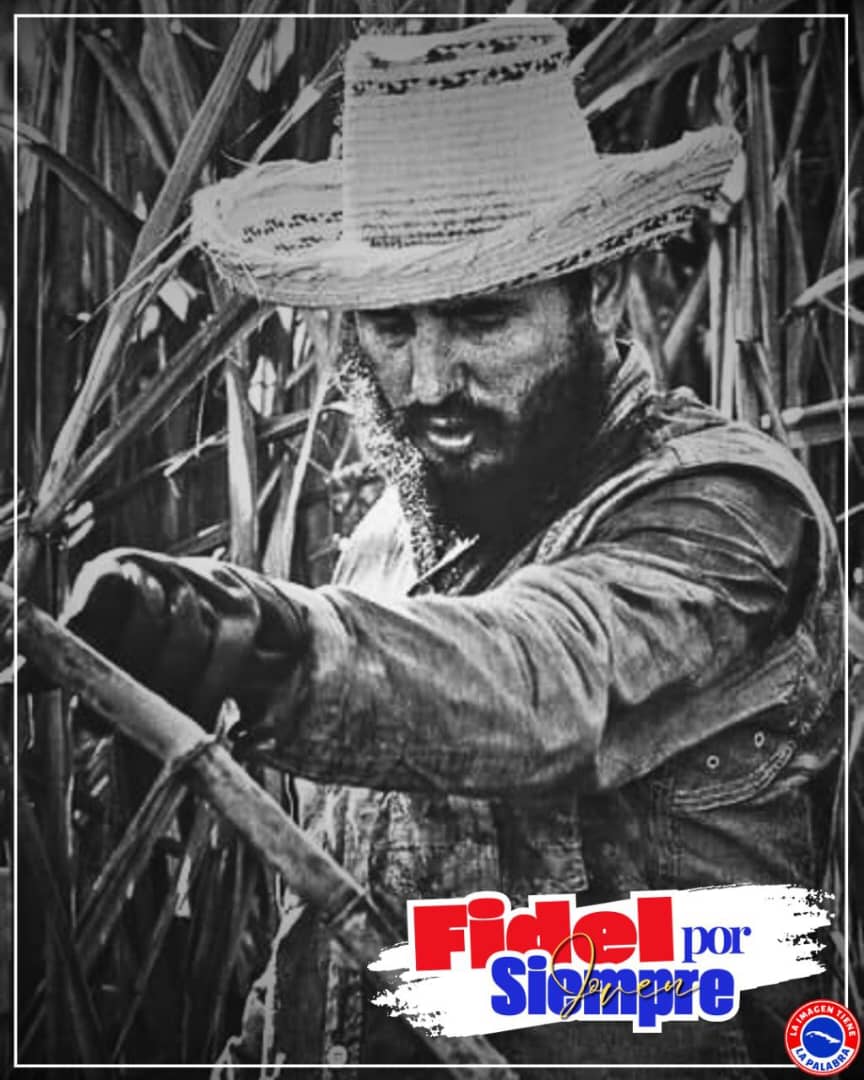 GeronimoCdi's tweet image. &quot;Precisamente aquí donde conmemoramos nuestras victorias te decimos junto a nuestro abnegado, combativo y heroico pueblo: ¡Hasta la victoria, siempre!&quot;.   
#100AñosConFidel #CubaPorLaVida @cubacooperaven 
@MINSAPCuba
 @japortalmiranda