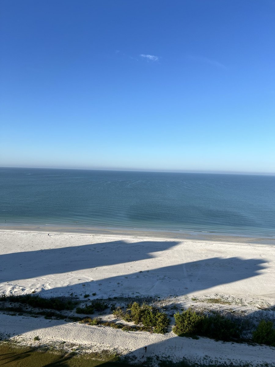 Kevin Hamilton tweet media