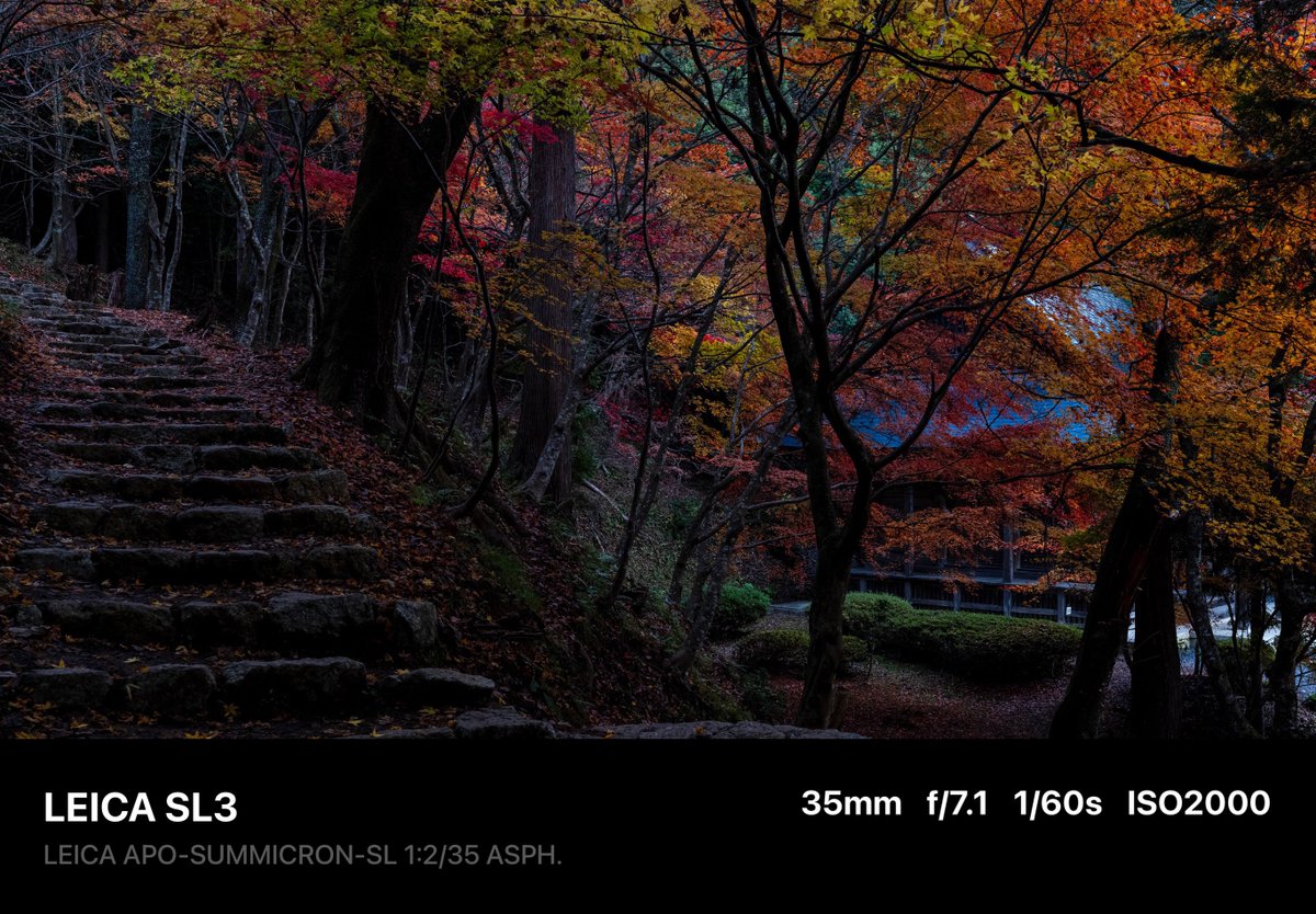 ごっさむ@ My funny Van allen 帯 (@pra2000) / Posts / X