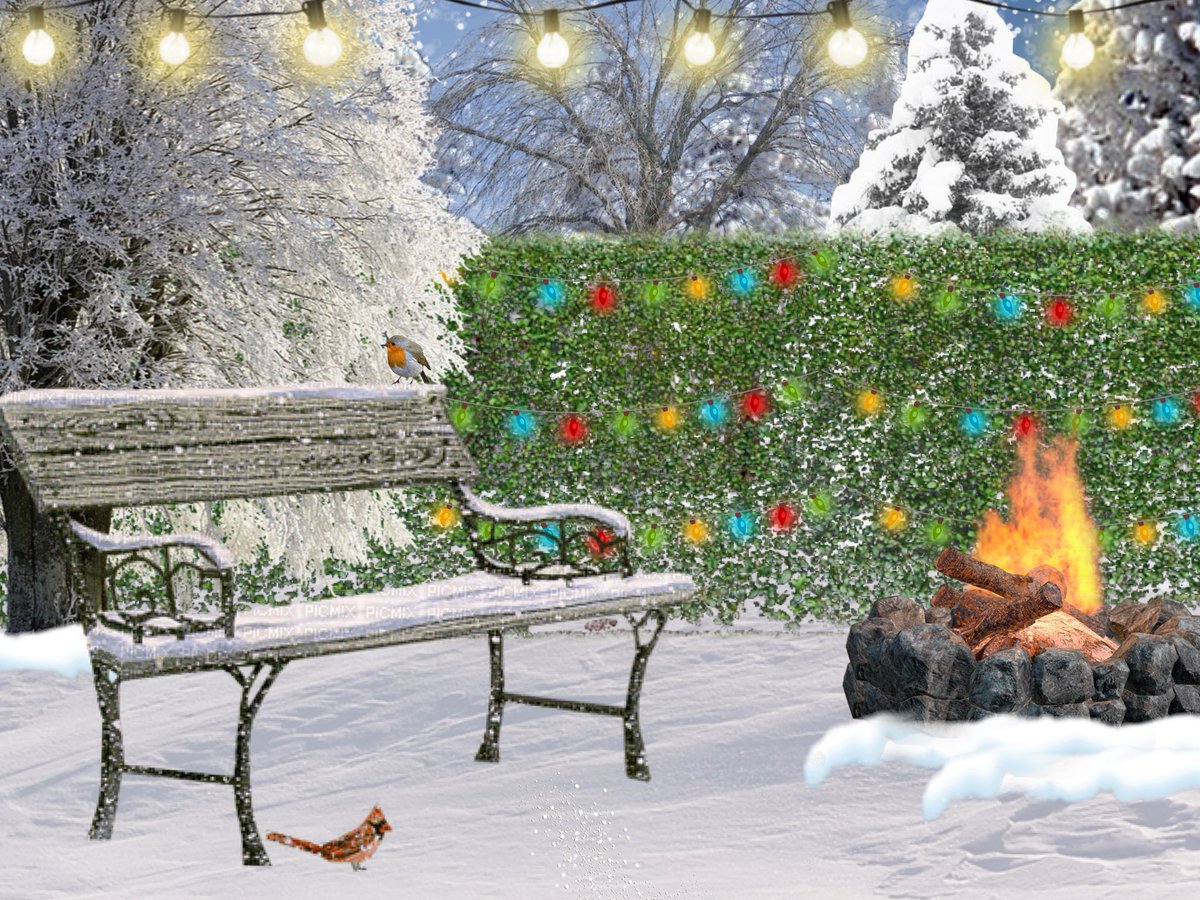 A queue is forming for the grand opening of the #HedgewatchXmas Advent Calendar, there’s even some tents appearing in the meadow. If you’d like to join in, here’s a few backgrounds (no pictures needed though) &amp; wrap up warm too, Brock’s dug out a few spare woollies.
#Hedgewatch