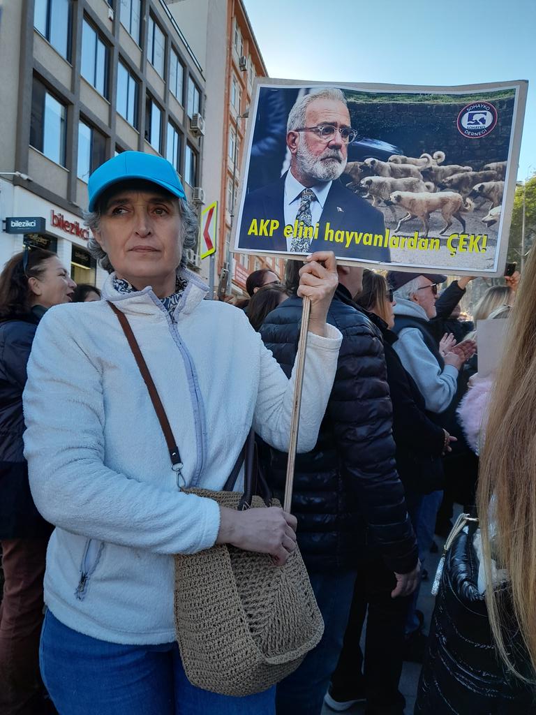 Sokak hayvanı besleme yasağını tanımıyoruz! İstanbul Valiliği
#beslemeyasaklanamaz