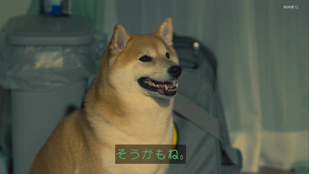 ろっきい (@hirockyz) / Posts / X