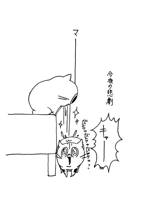 〜今夜の悲劇〜
シンネコチャン、マーライオン浴び。 