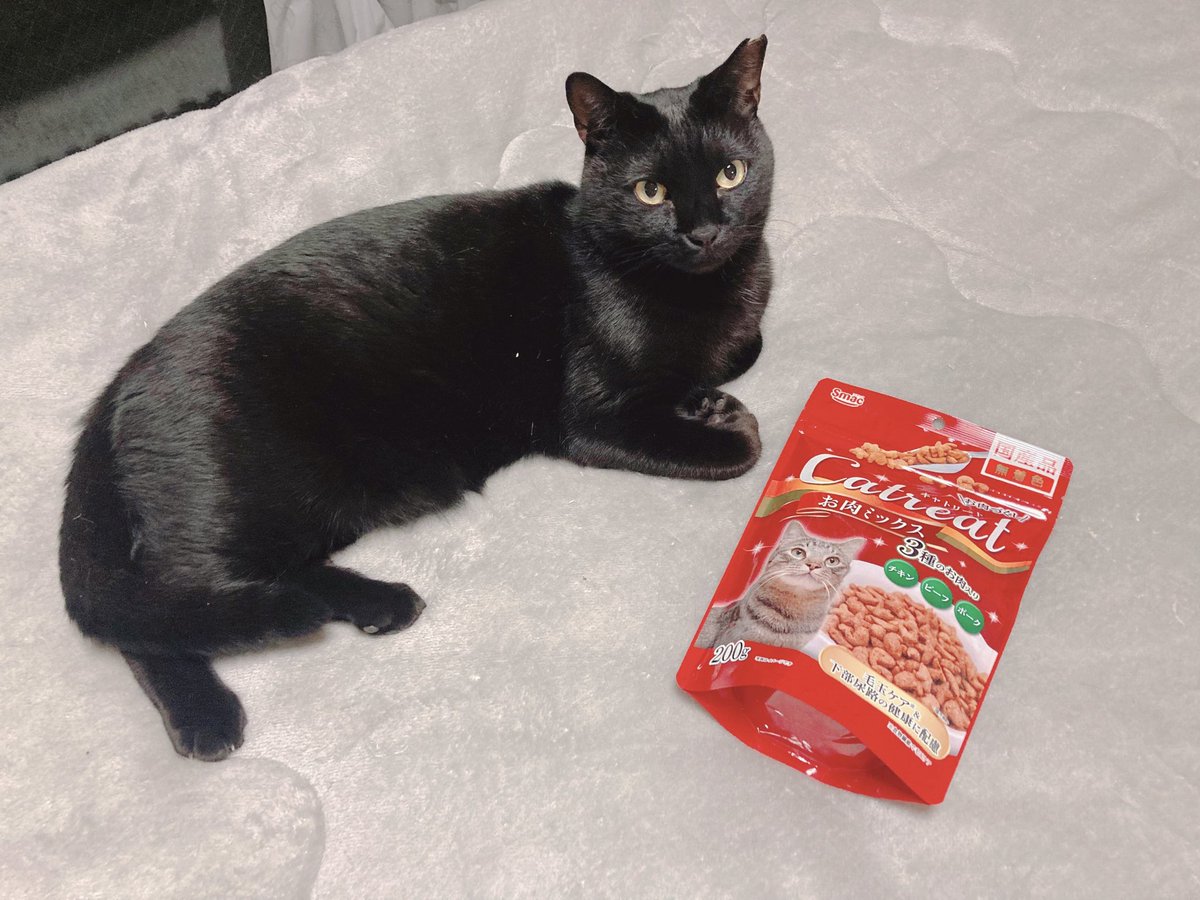 mof_u3u_s2's tweet image. ままが また ぼくが たべれる ごはんを

みつけてきたよ

おやつとして くれるみたい

おさかなあじと おにくあじ の ふたつ

うれしくって はなのあな ひろがる ぼく

いくつか あれるぎー こくふくしてる ぼく

すごい すごい✨✨

 #猫好きさんと繋がりたい #猫がいる暮らし #猫がいる幸せ #じじ丸