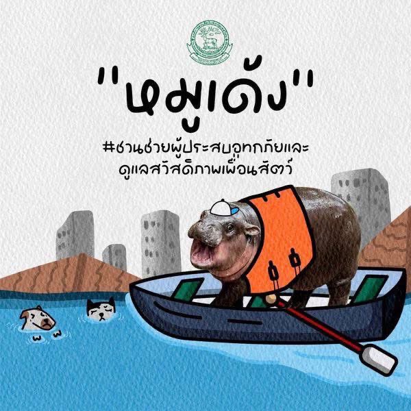 อยากให้ทำโครงการนี้อีกรอบครับ 
เป็นกำลังใจให้นะครับ 
ถ้าใครมีสินค้าที่อยากจำหน่ายเพื่อนำรายได้ช่วยเหลือผู้ประสบภัย ติดต่อมาได้เลยนะครับ #hippo #PygmyHippo #ขาหมูแอนด์เดอะแก๊ง #หมูเด้งเด้งกี่โมง #Moodeng #พี่ขาหมู #สวนสัตว์เปิดเขาเขียว