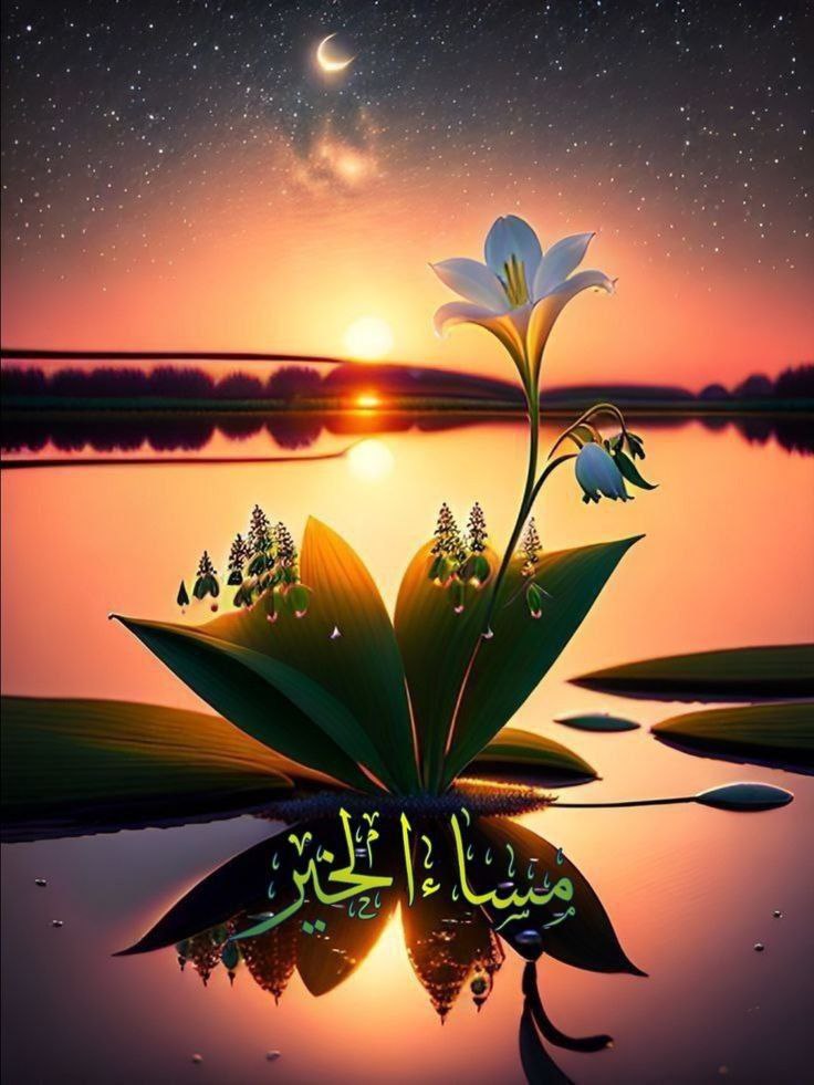 الصداقة قلم يكتب في أوقات الشدة 
الحب جمال مؤلم لا يـراه إلا العاشق 
الأمل كلمة تتلاشى لـكن لا تنعدم
الإخلاص كنز ضائع يبحث عنه الإنسان داخله
الحياة شمعة محدودة ستنطفأ يوماً ما
الموت قطرة ماء تسقط فوق فتيل شمعة الحياة
الفشل صخور حادة في سهول الحياة
 مساء الورد  وعطر الورد