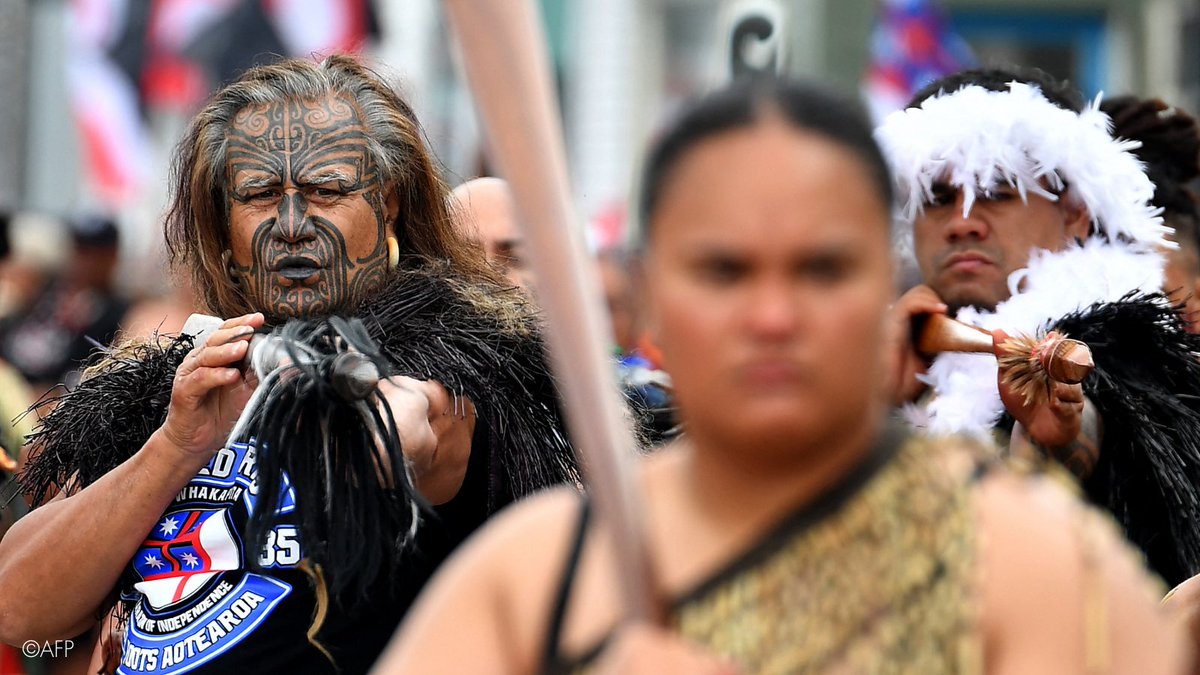 UN Treaty Bodies tweet media