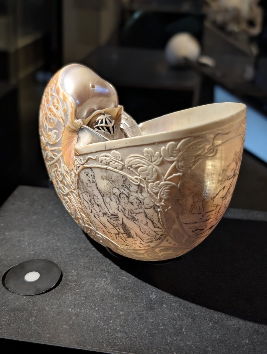 slothdive's tweet image. se me ha caído una lágrima en riguroso directo