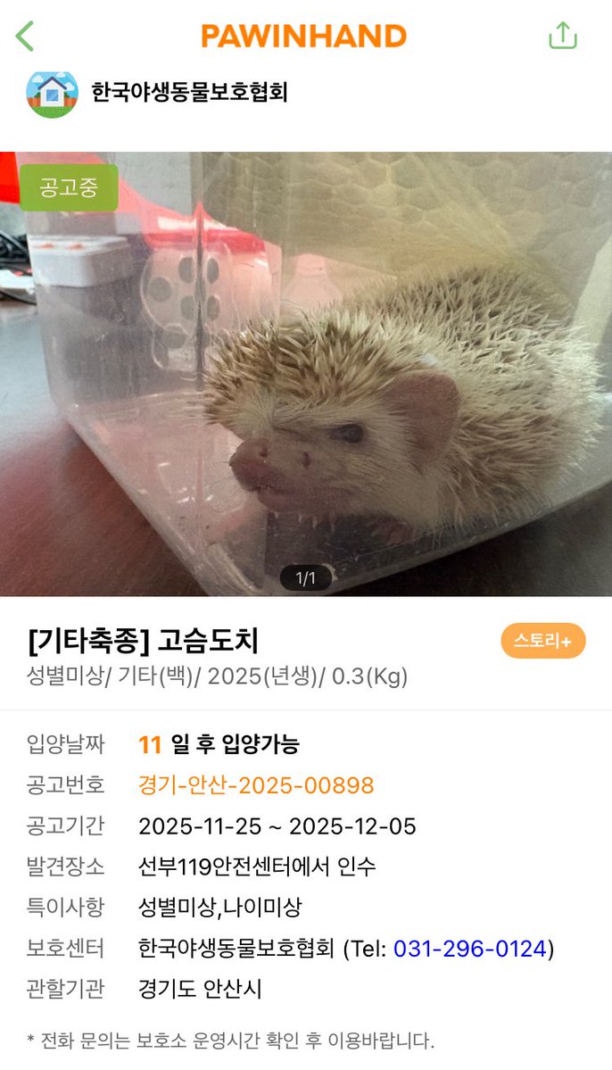 [유기고슴도치 공고] 2025.11.25.-12.05.

경기도 안산
한국야생동물보호협회

날이 점점 추워지는데 유기는 멈추지않네요ㅠ