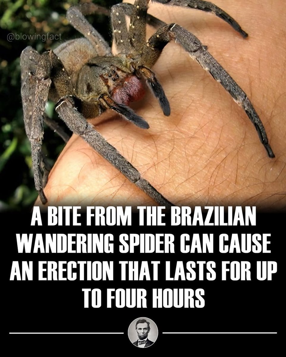 pallnandi's tweet image. 