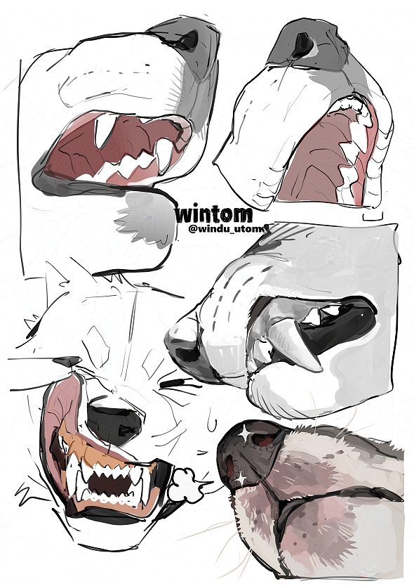Cold weather makes me think of a dog’s fluffy muzzle
