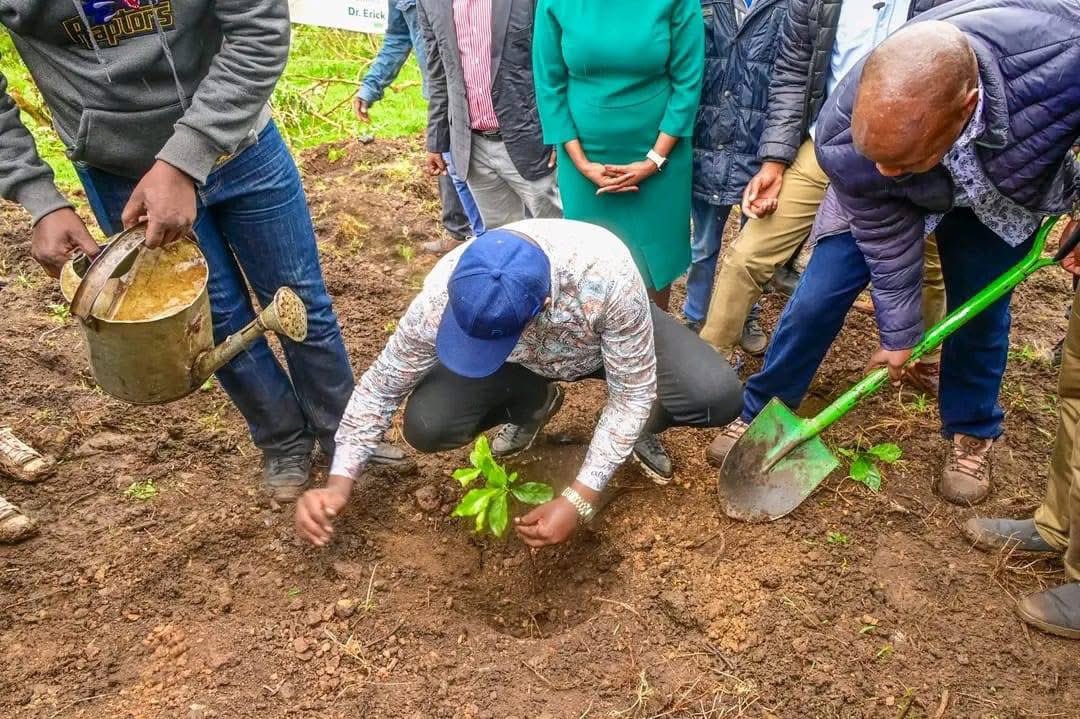 DrMutaiEric's tweet photo. We’ve today distributed 500,000 coffee, 300,000 tea, 50,000 avocado, 5,000 pyrethrum seeds, plus 400,000 tree seedlings under the Presidential One Billion Trees initiative, and established community seedbeds in Keongo and Kaitui. https://t.co/pvp8igsdK3