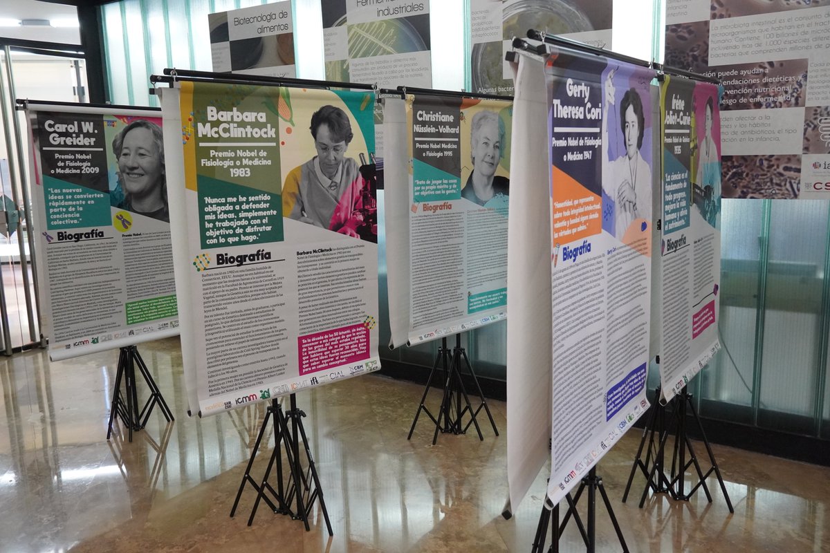 iata_csic's tweet image. En el @iata_csic nos unimos a la conmemoración del 25N, Día Internacional de la Eliminación de la Violencia contra la Mujer, con distintas acciones para mostrar rechazo a todas las formas de violencia que afectan a mujeres y niñas en todo el mundo. 
iata.csic.es/es/noticias/el…