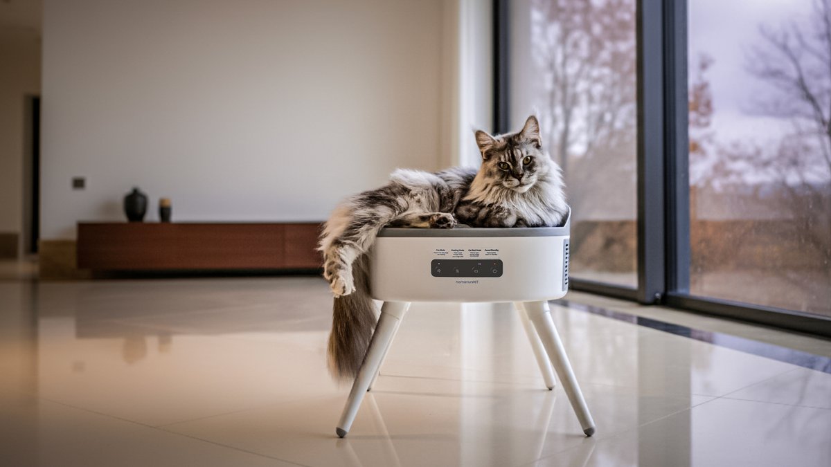 Felis Gallery by Robert Sijka tweet media